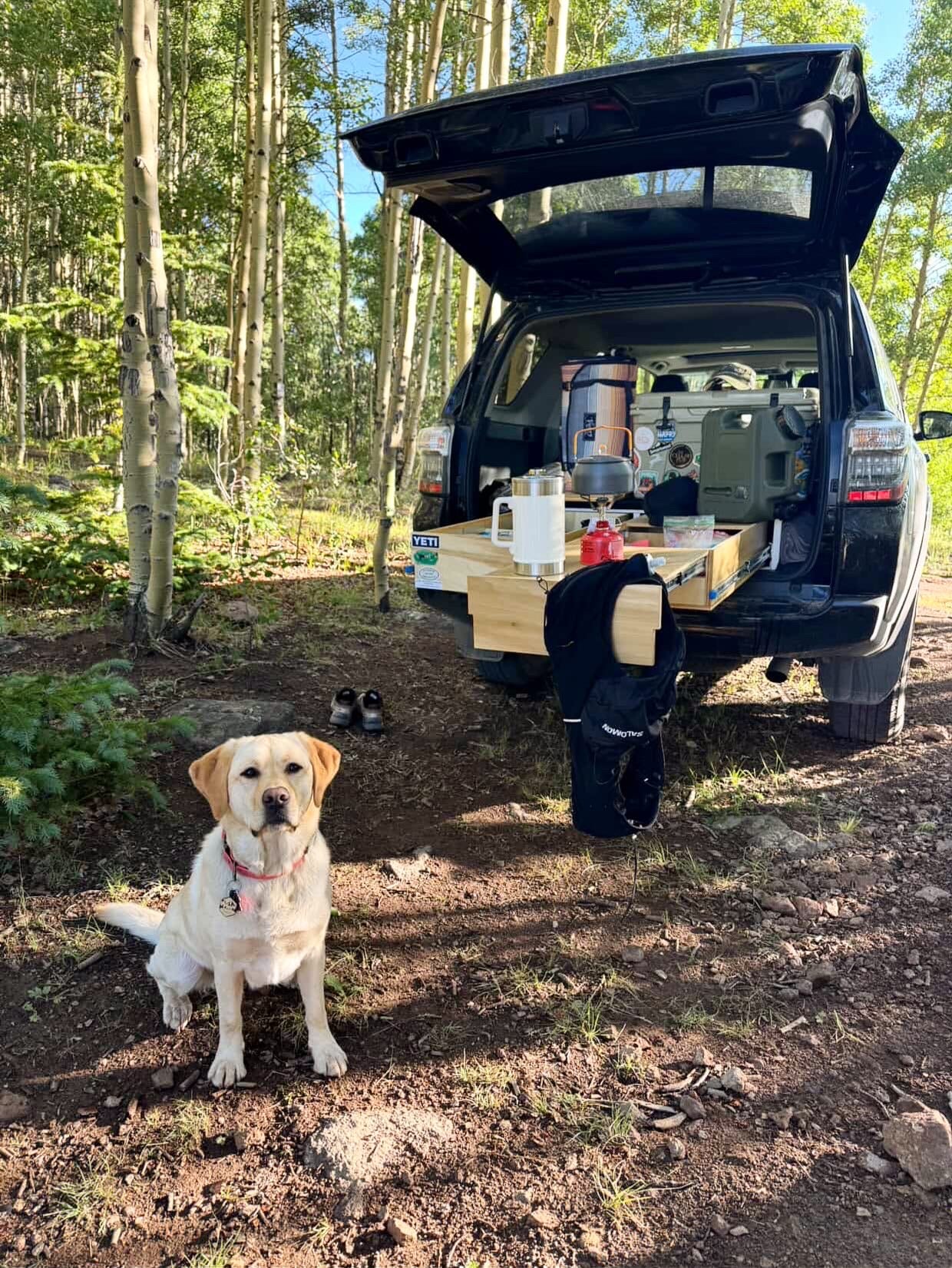 All Kits and Mattresses – Compass Camper