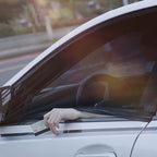Car Window Bug Screens & Sun Shades, Front and Rear