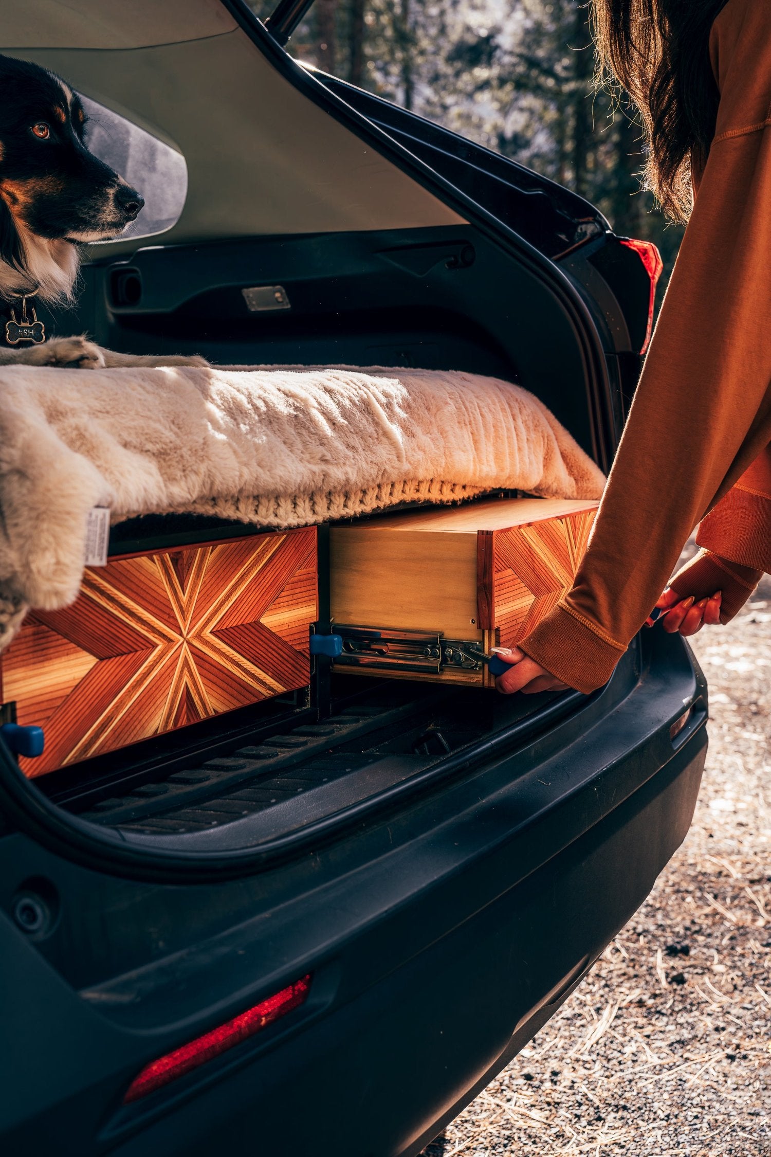 camper conversion kit drawer opening inside toyota rav4 with dog on bed platform